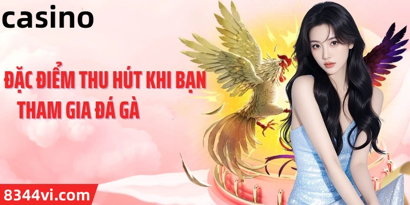 Hình ảnh quảng cáo của abc8 hiển thị nền tảng và các lợi ích
